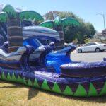 jumoer de agua morado