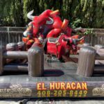 toromecaniconegro(1)